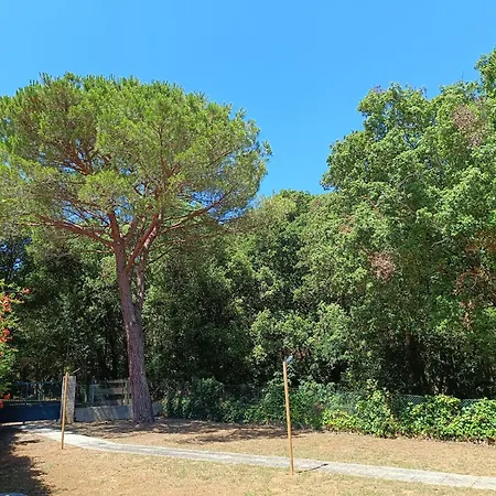 Giovanna - Goelba Ferienhaus *